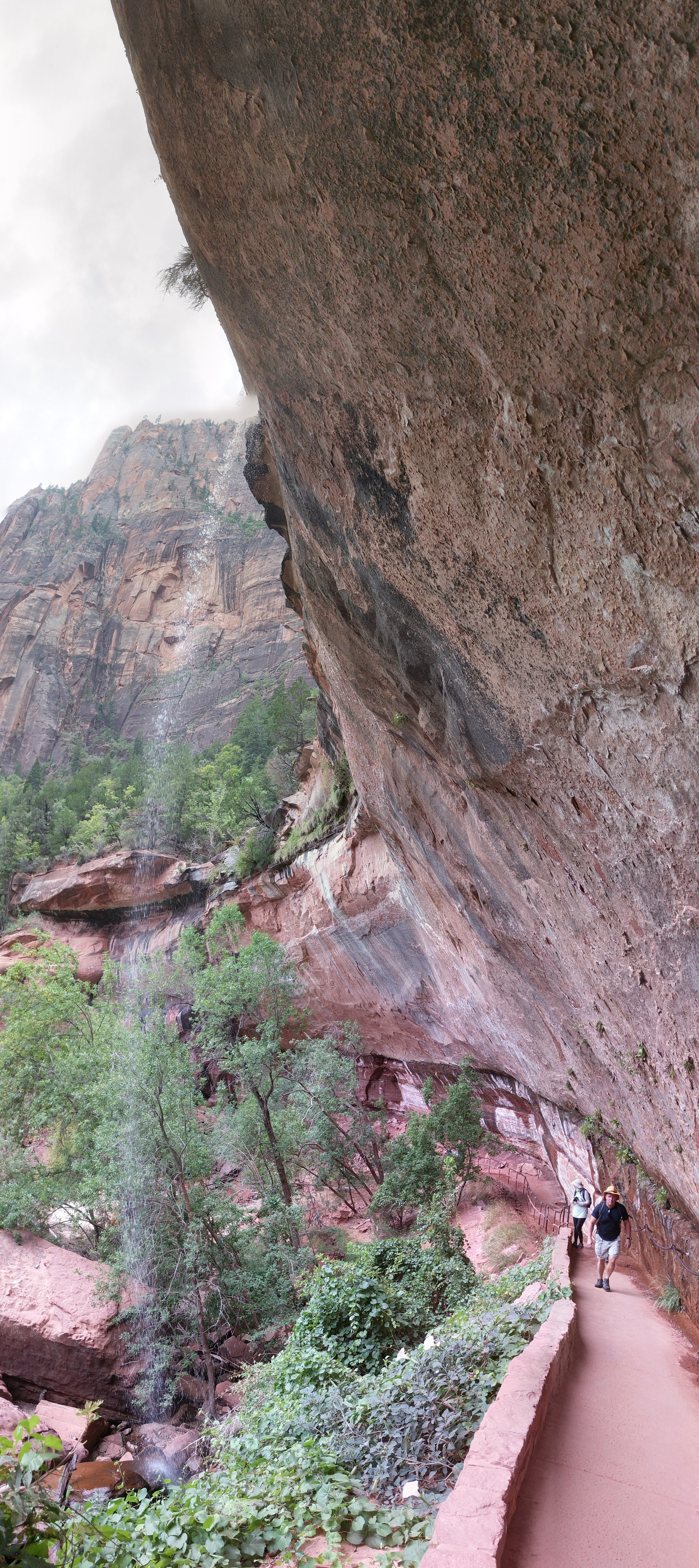 Zion Pano 21