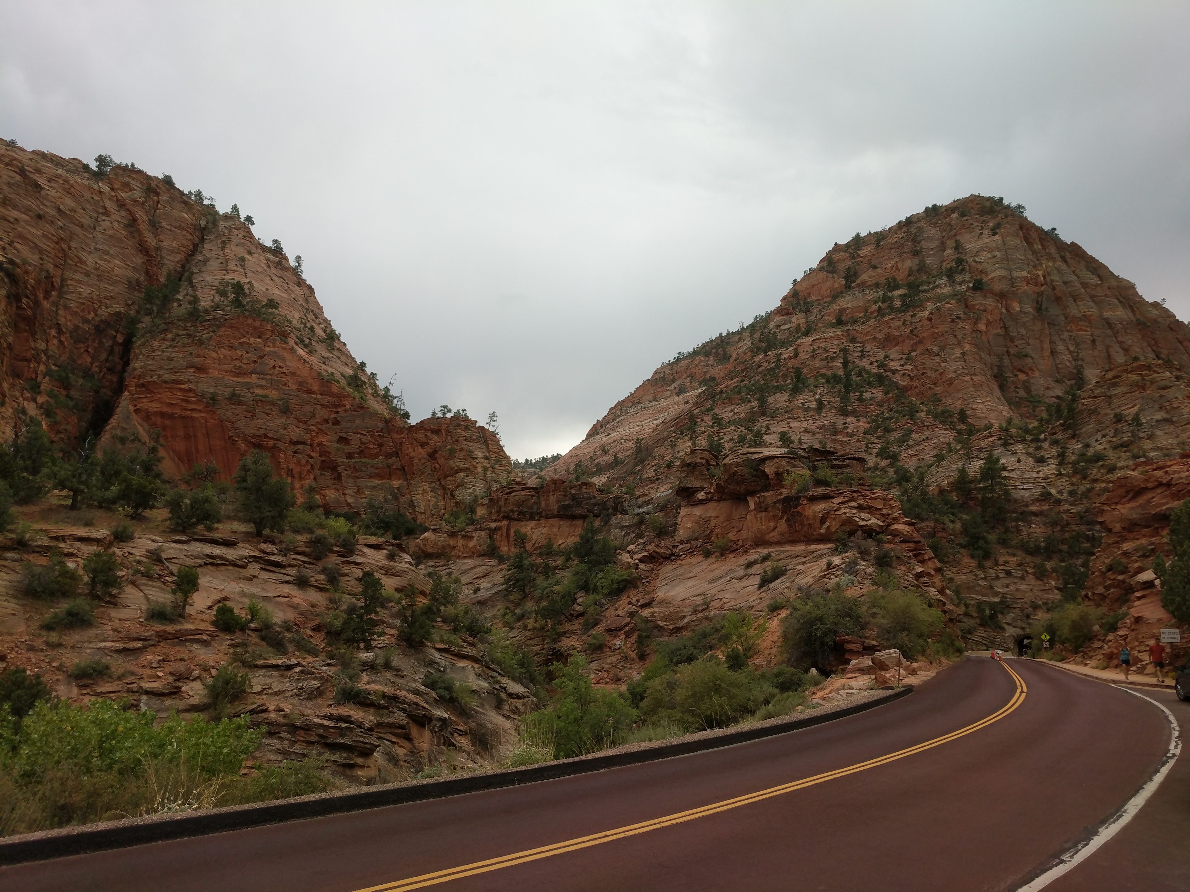 Zion Photo 279