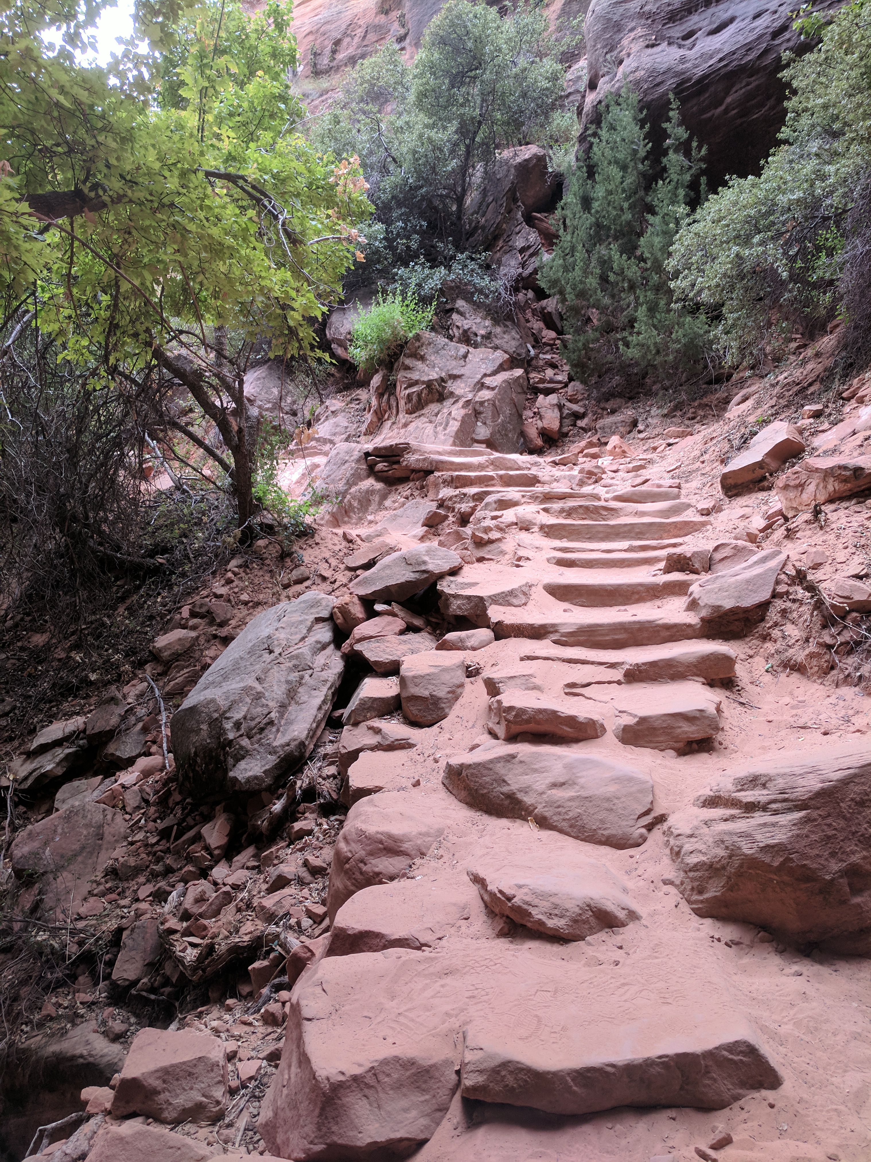 Zion Photo 304