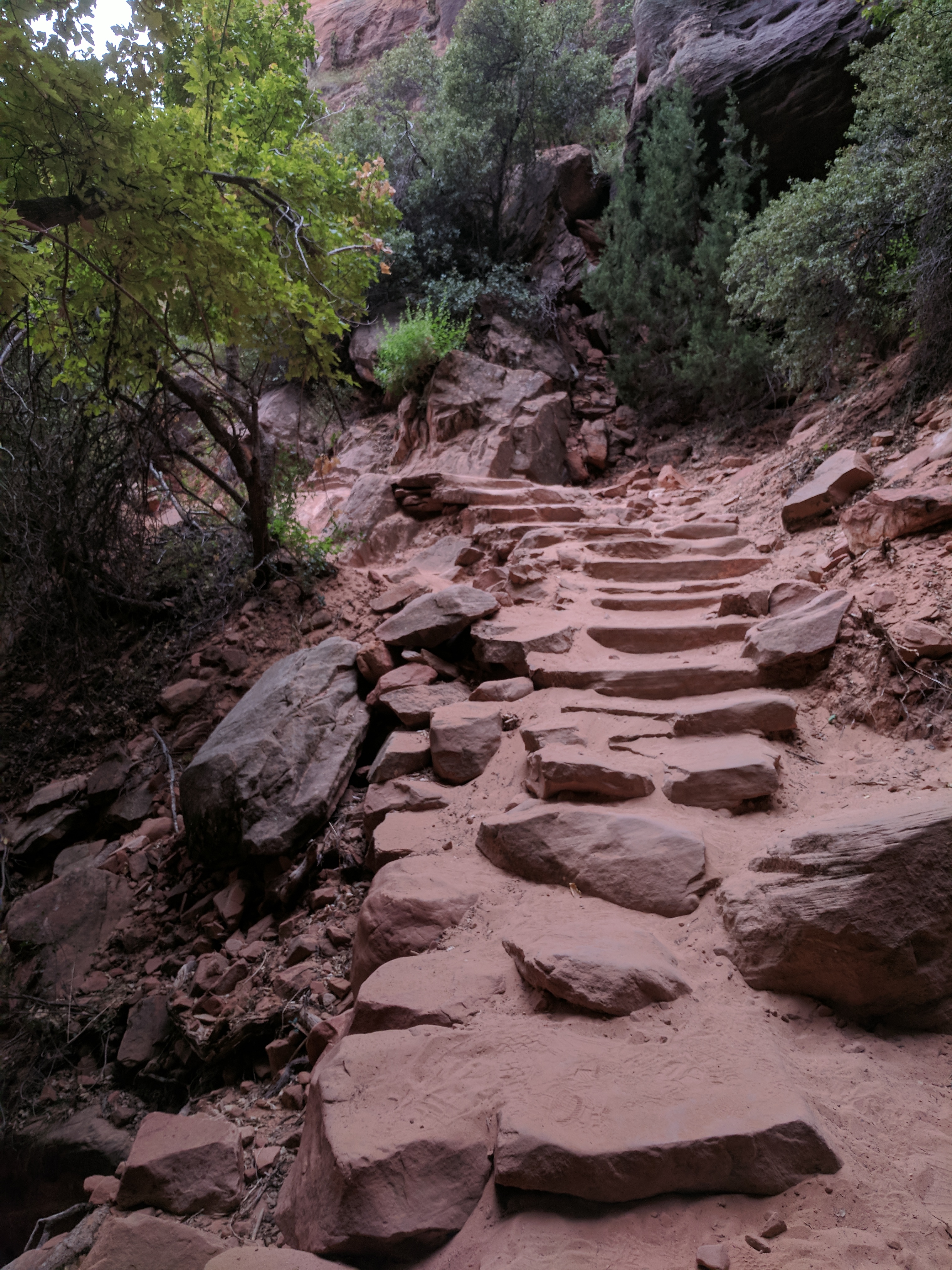 Zion Photo 305