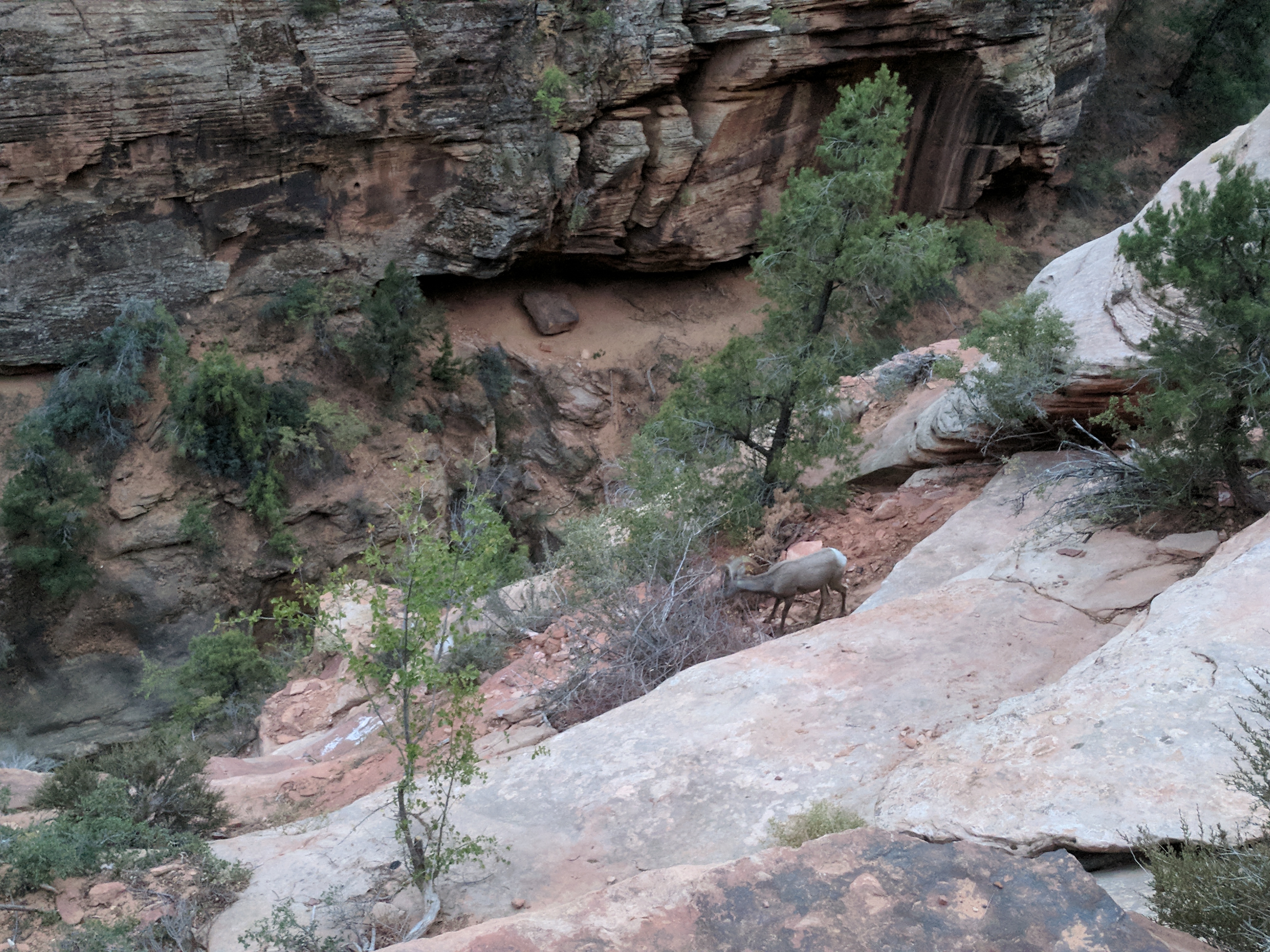 Zion Photo 361