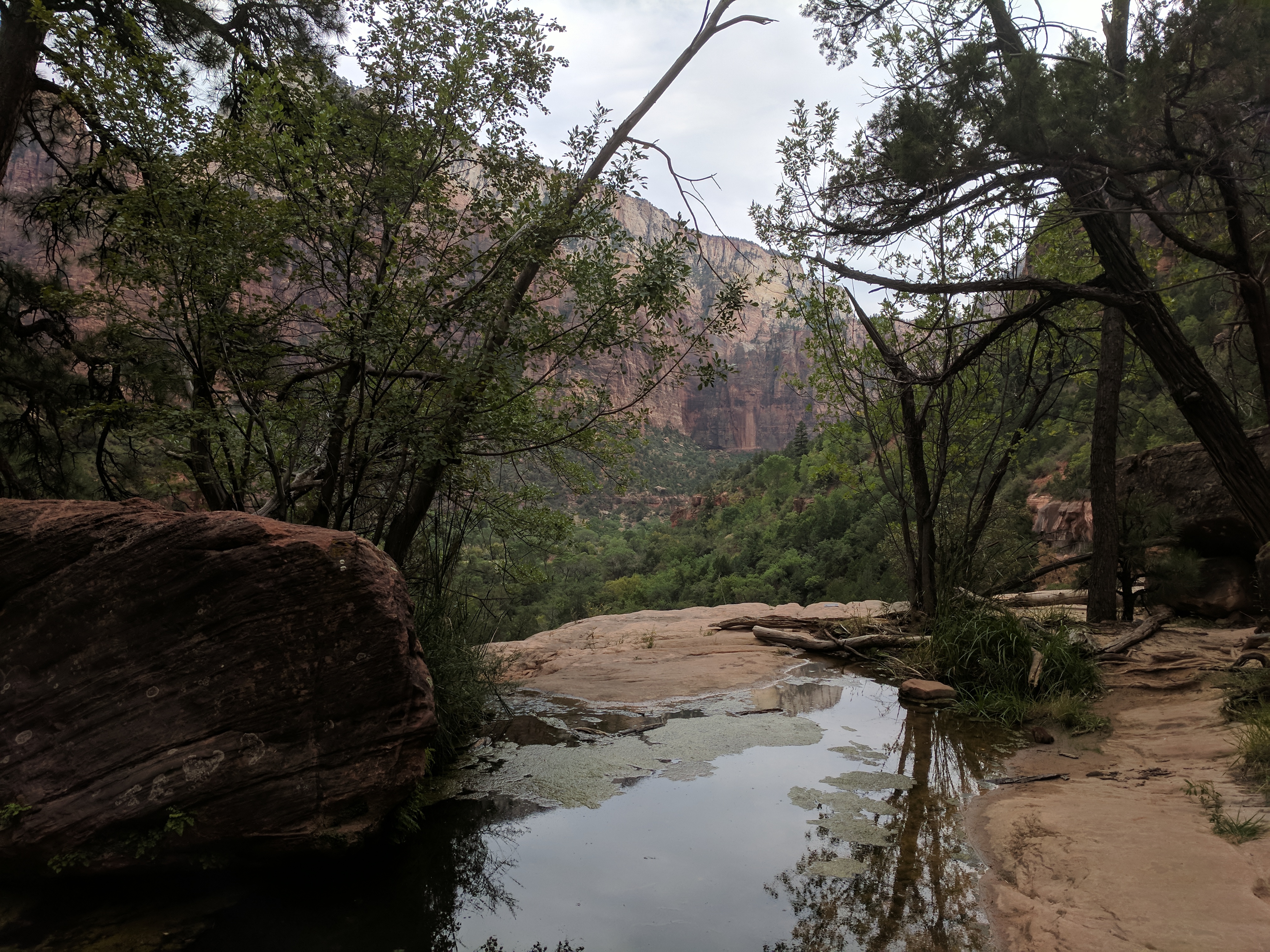 Zion Photo 493
