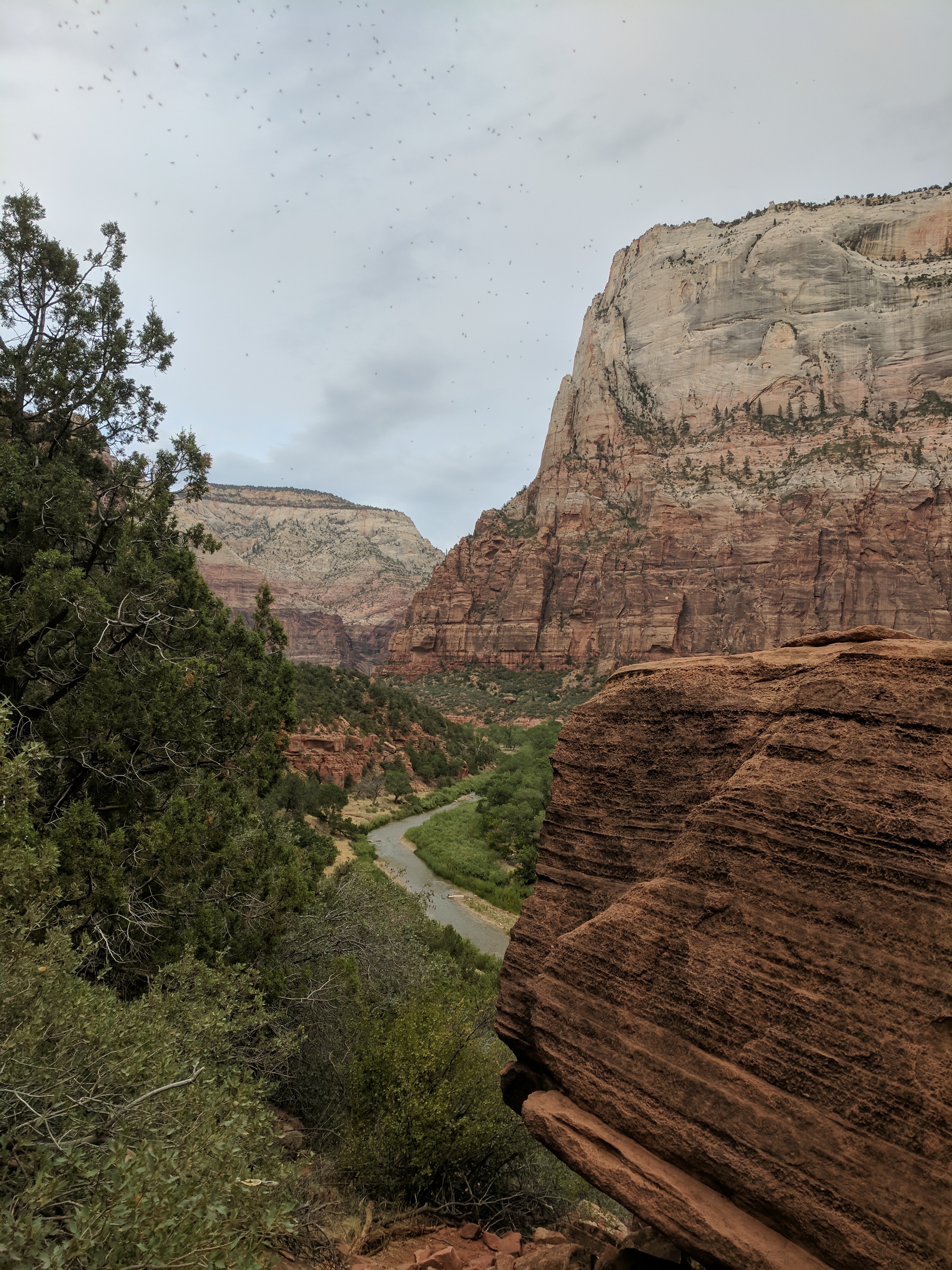 Zion Photo 515