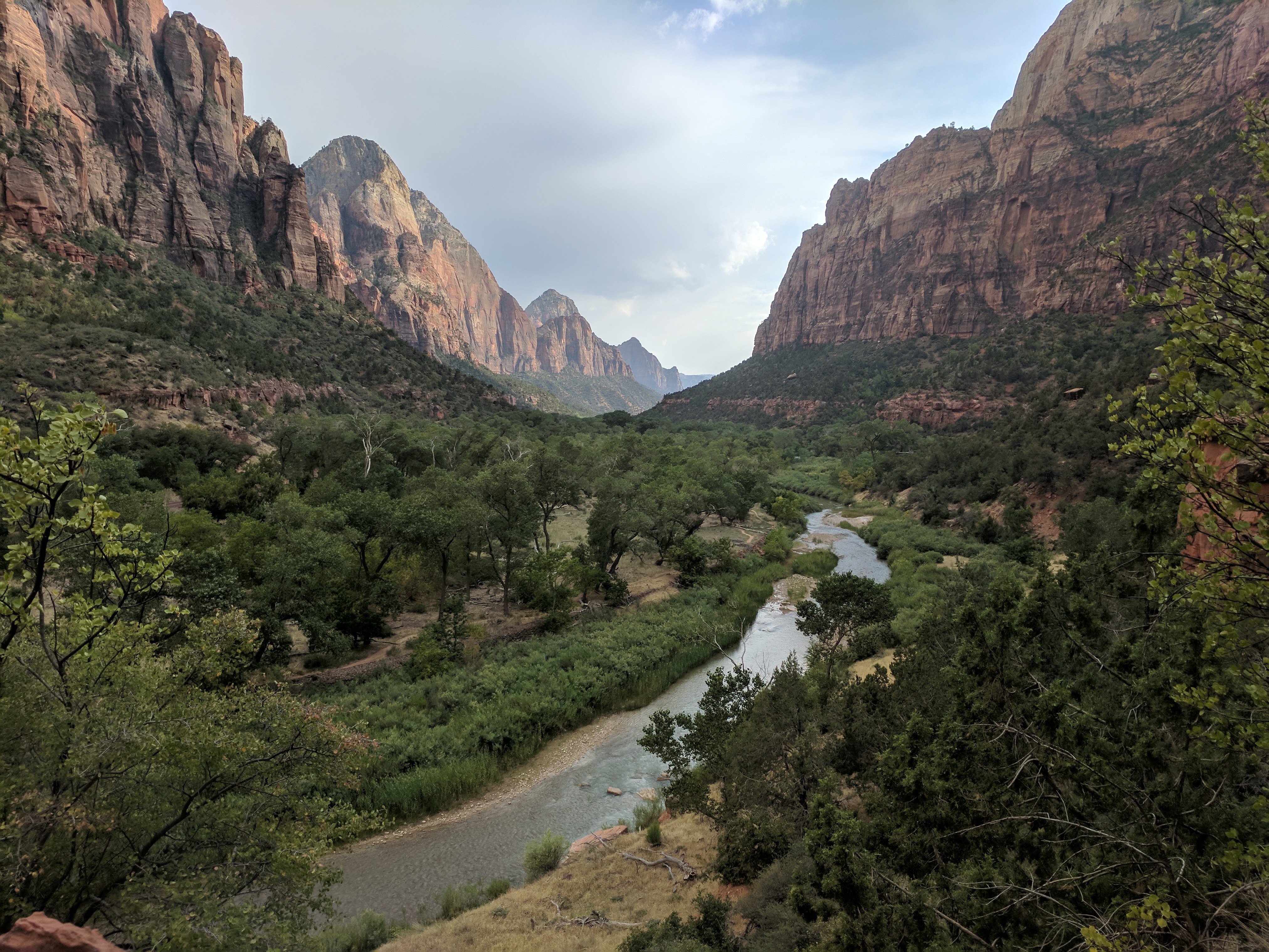 Zion Photo 544