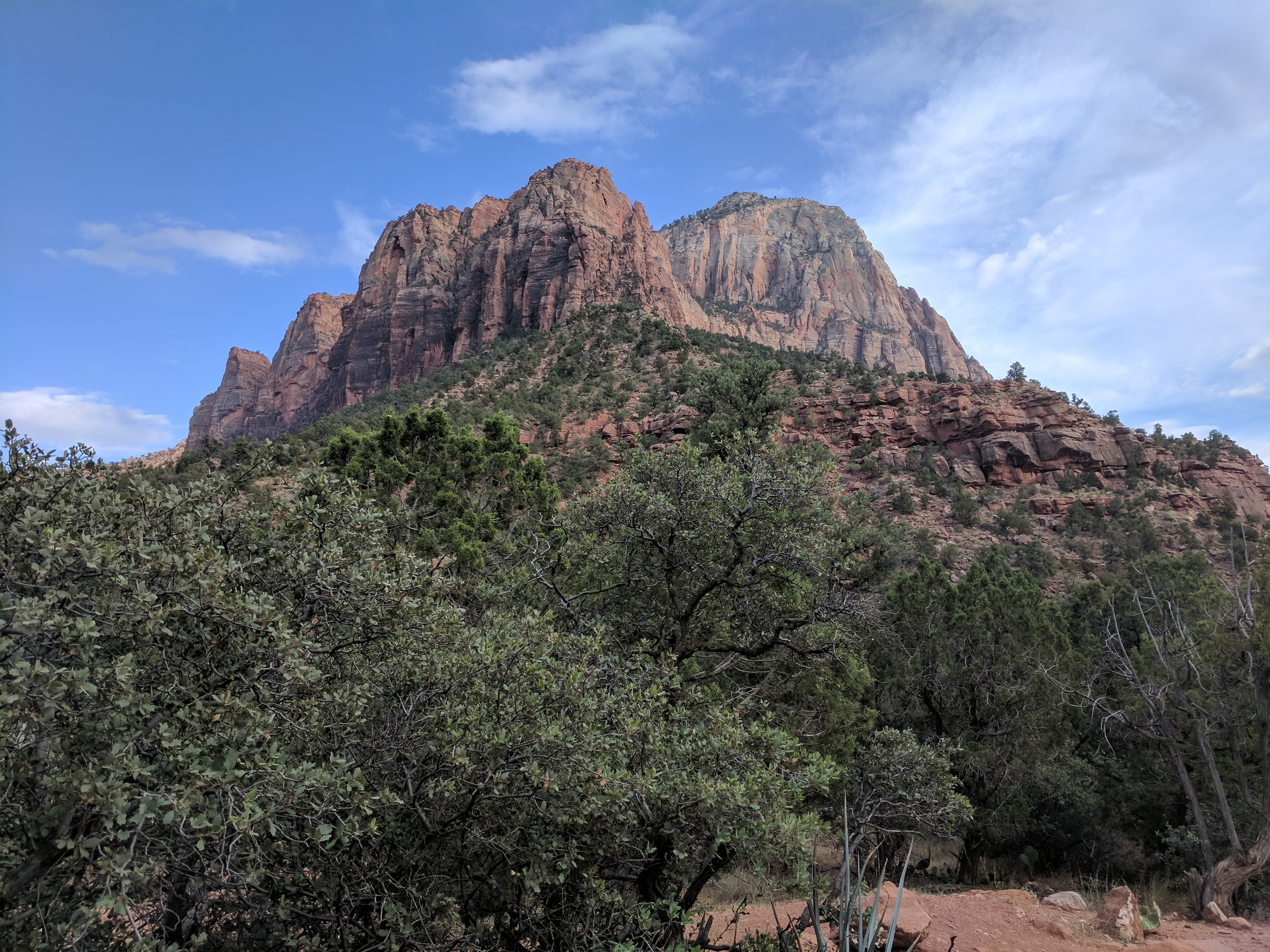 Zion Photo 555