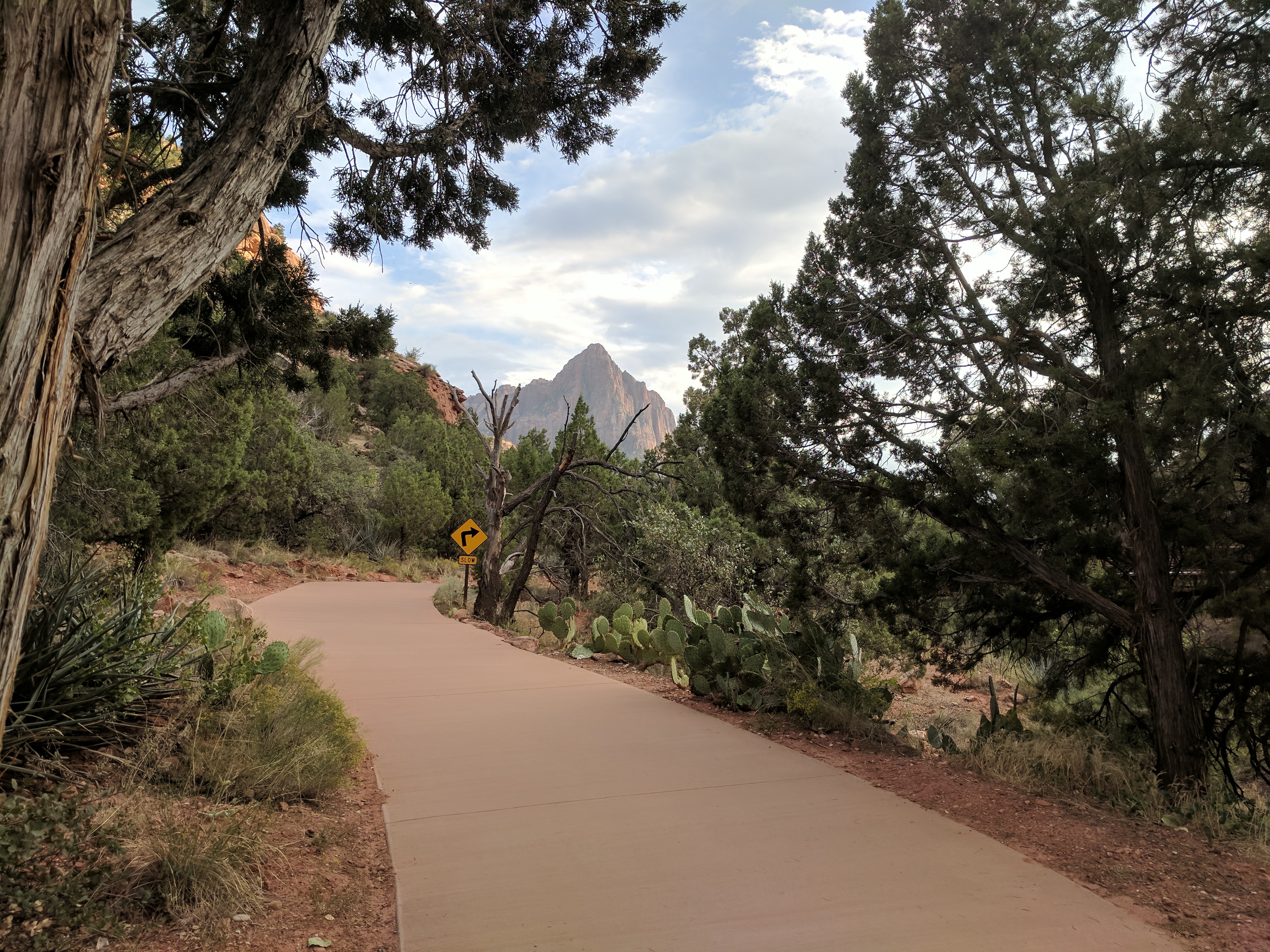 Zion Photo 571