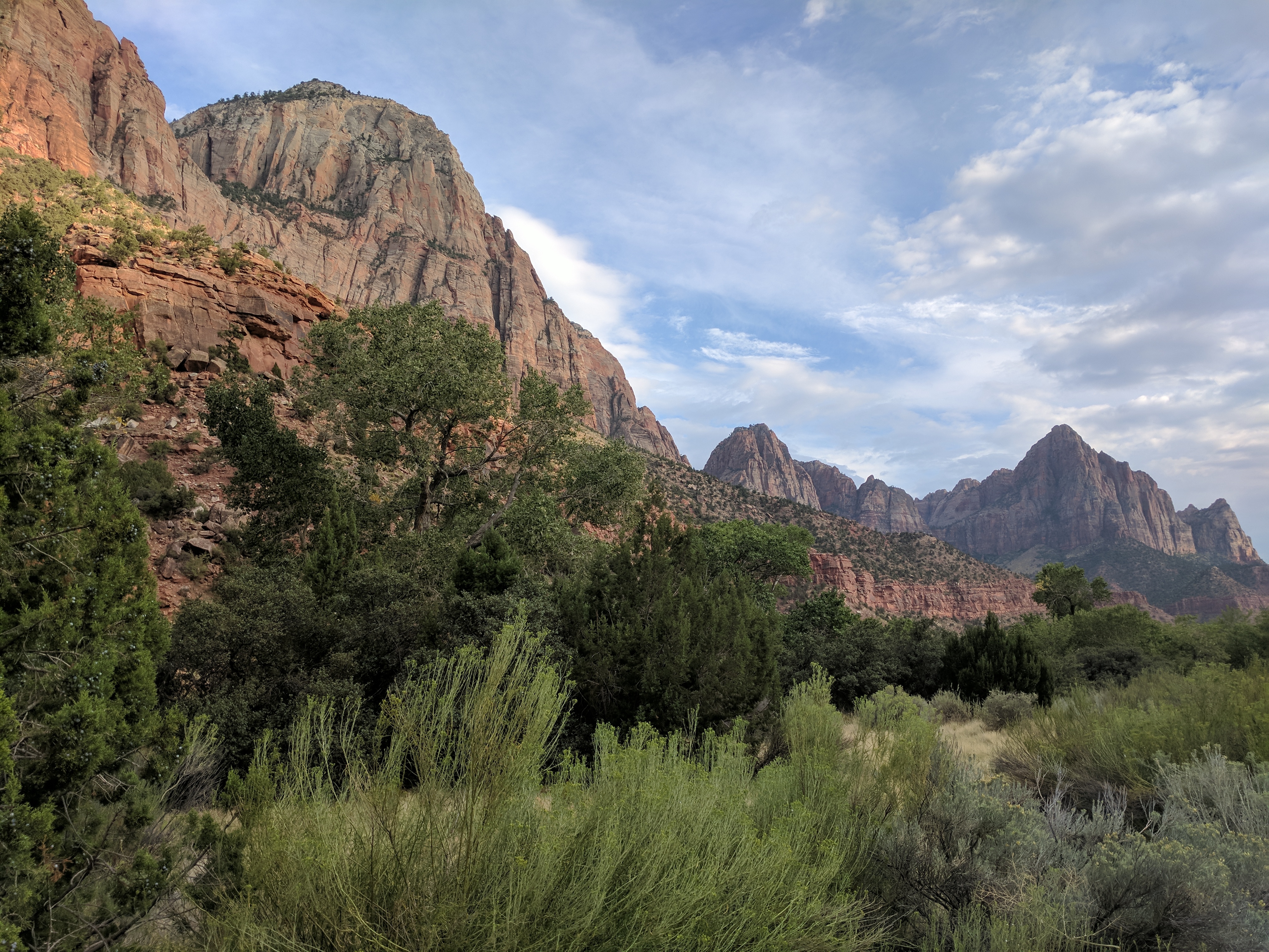 Zion Photo 578