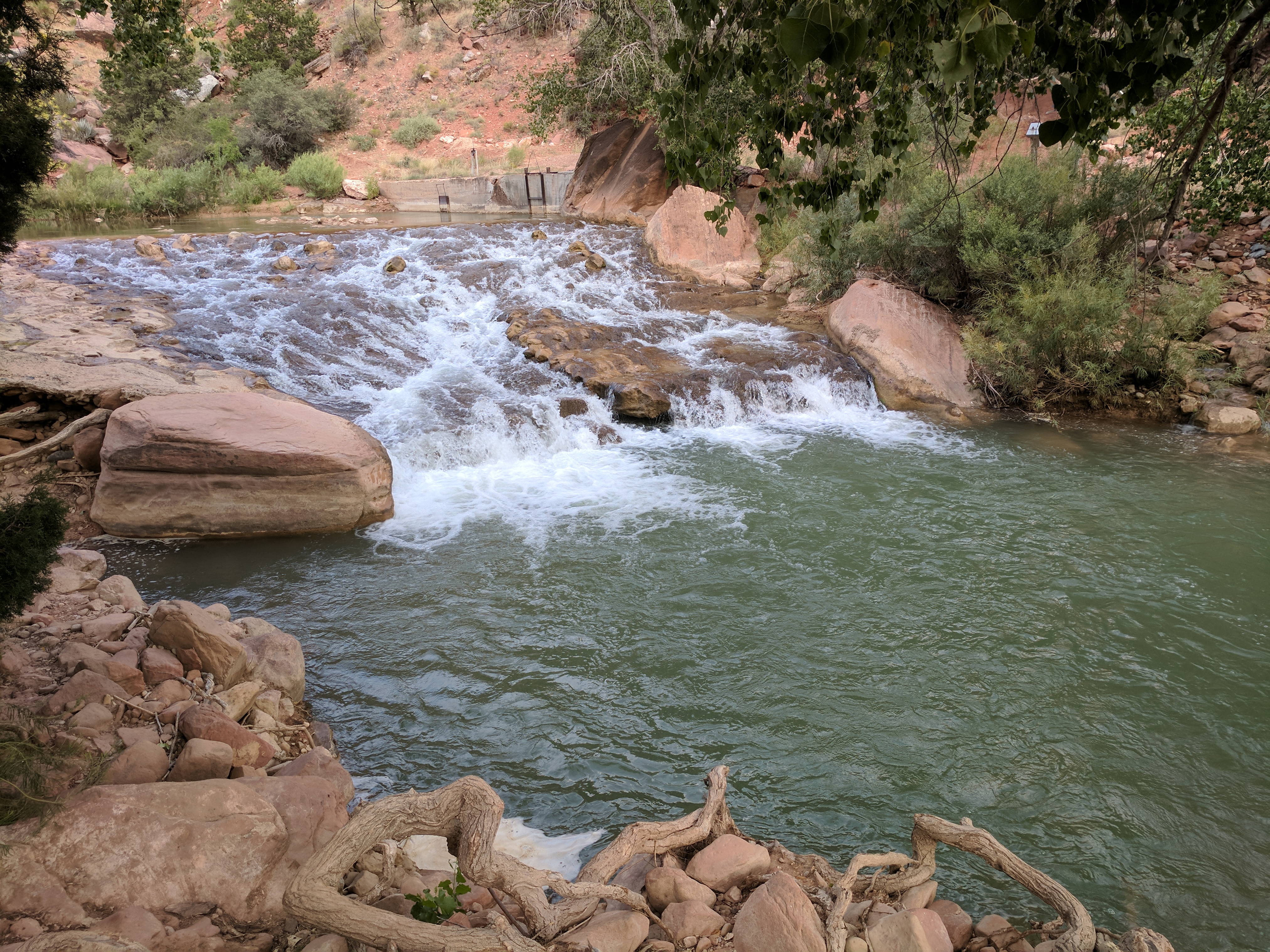 Zion Photo 587