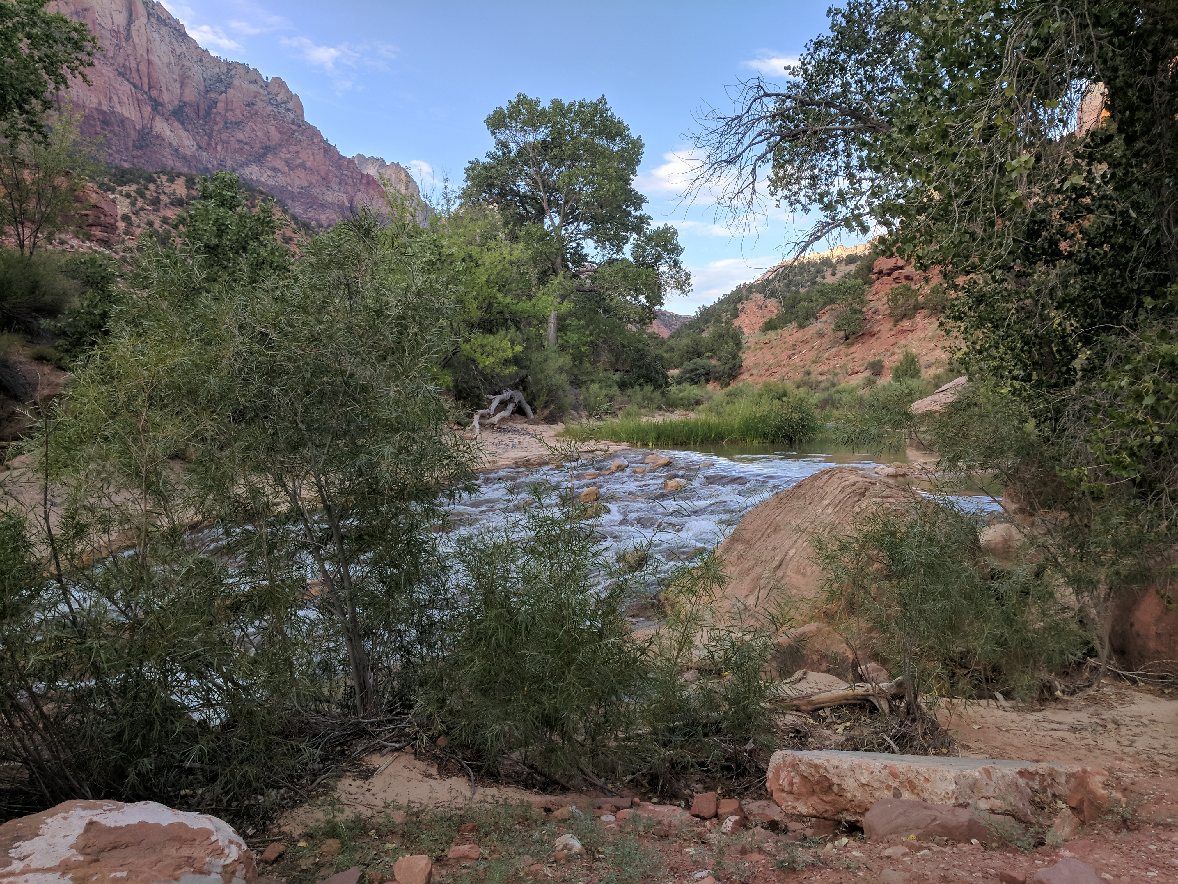 Zion Photo 598