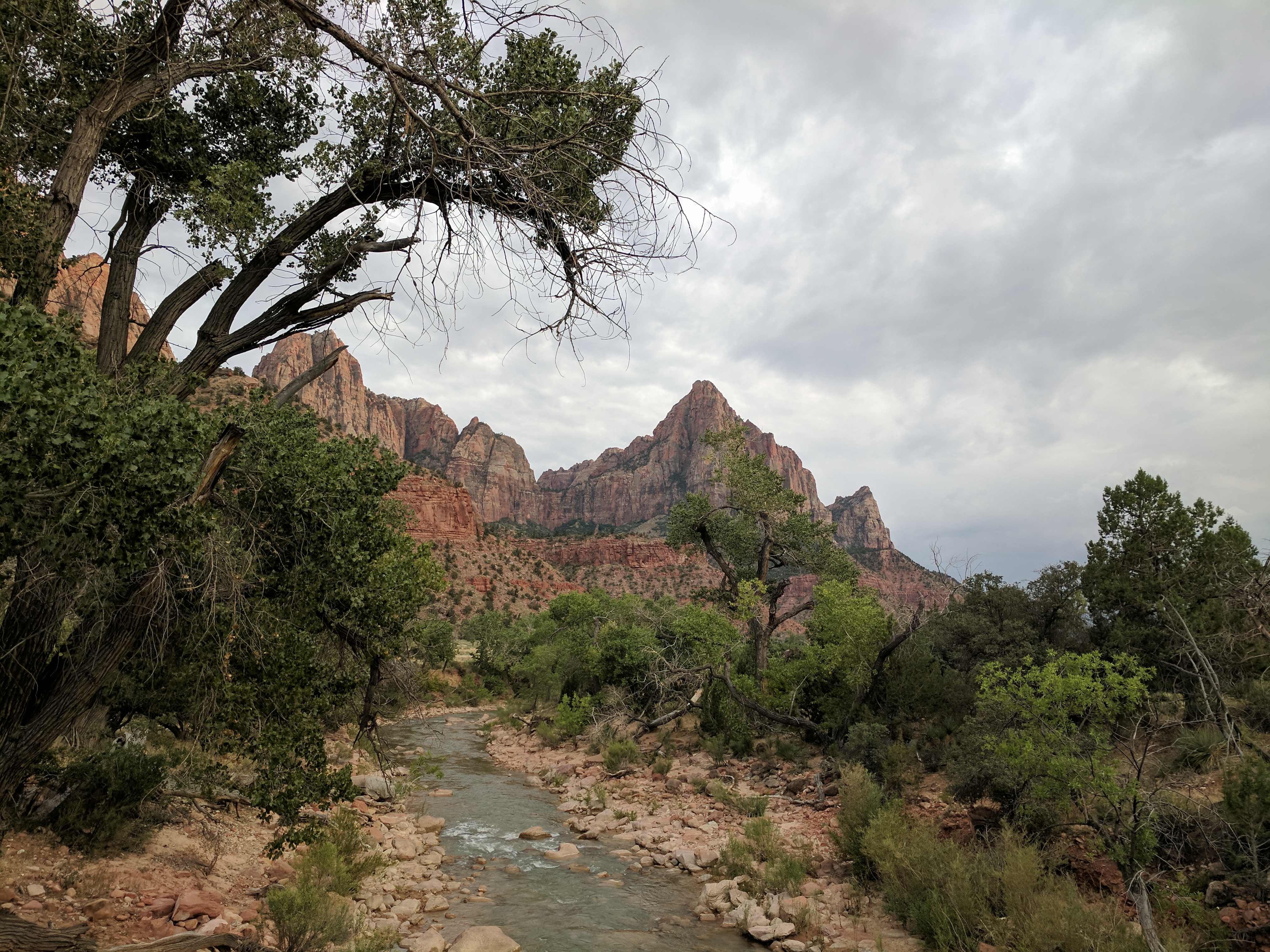 Zion Photo 617