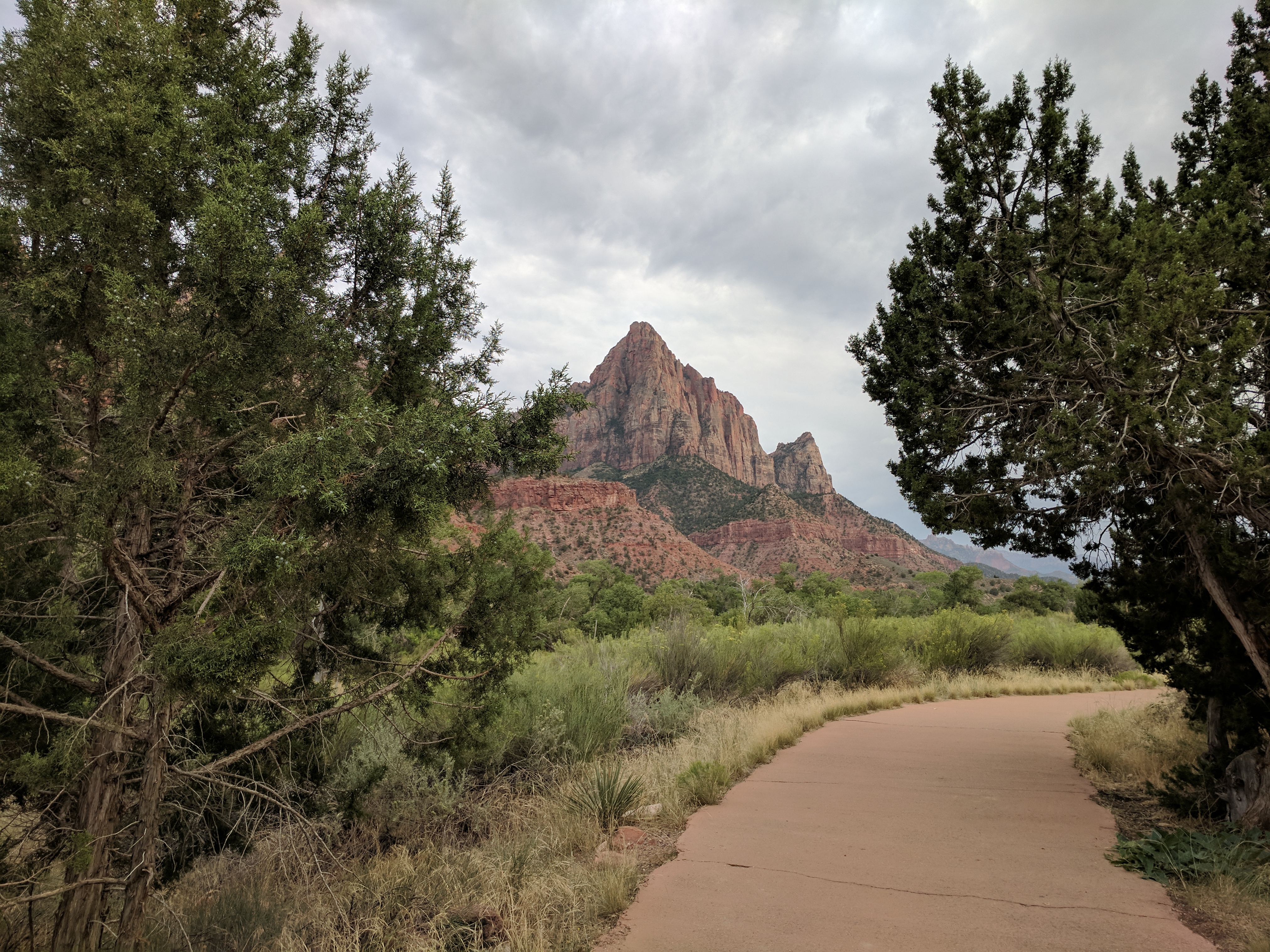 Zion Photo 619